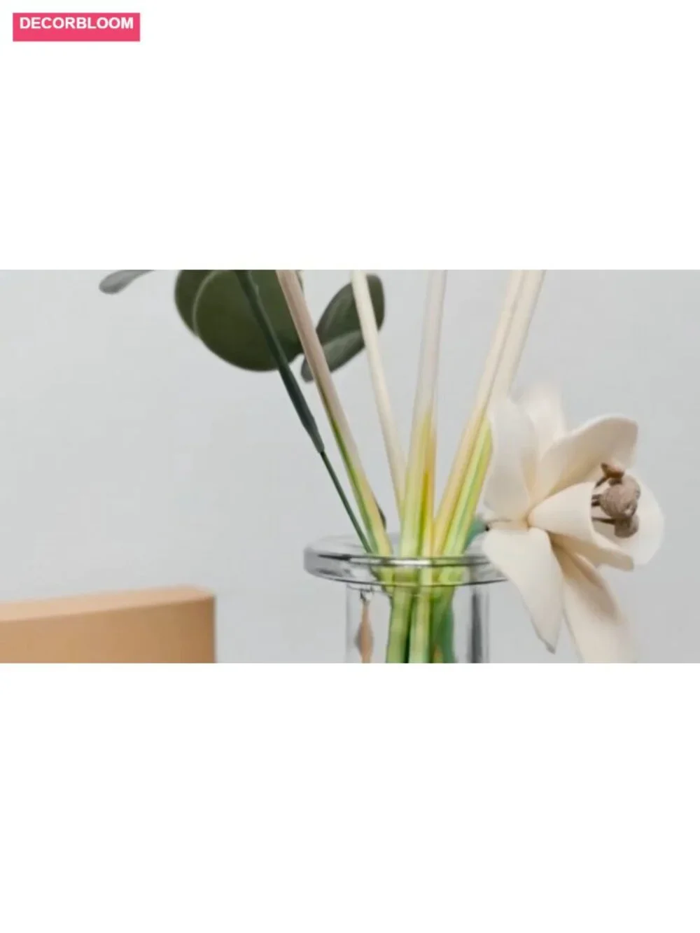 50 Natural Fiber Reed Diffuser Sticks for Essential Oil Aromatherapy Spa